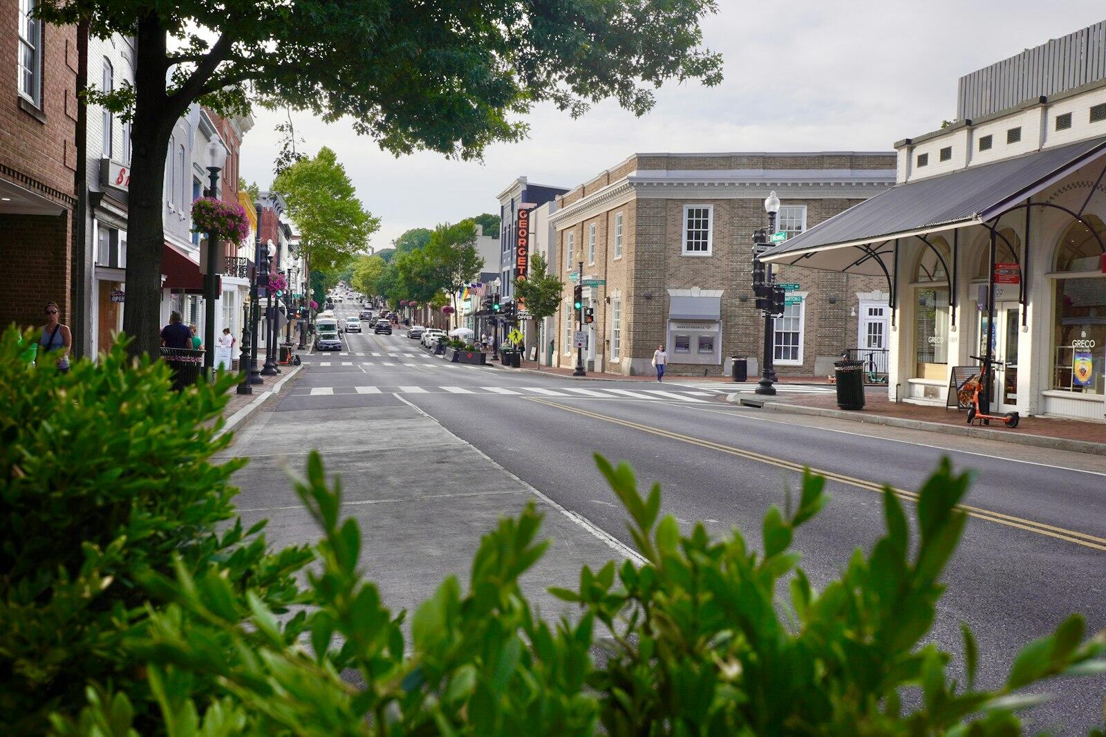 A tree-lined downtown street with shops, awnings, and pedestrians